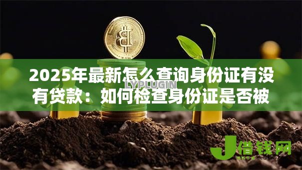 2025年最新怎么查询身份证有没有贷款：如何检查身份证是否被冒用贷款