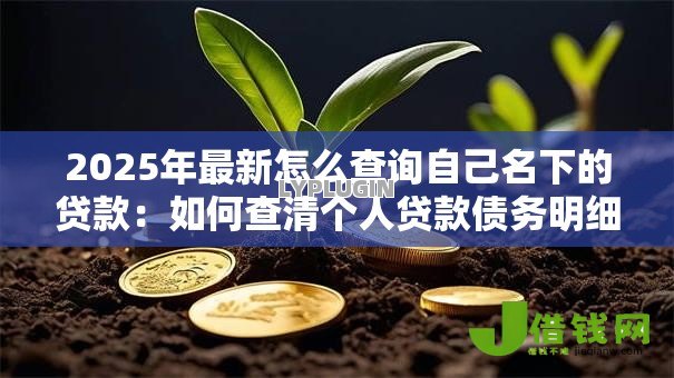 2025年最新怎么查询自己名下的贷款:如何查清个人贷款债务明细 2025年最新怎么查询自己名下的贷款:如何查清个人贷款债务明细