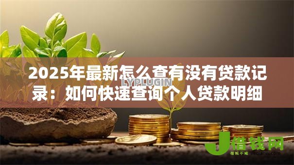 2025年最新怎么查有没有贷款记录：如何快速查询个人贷款明细