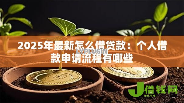 2025年最新怎么借贷款:个人借款申请流程有哪些 2025年最新怎么借贷款:个人借款申请流程有哪些