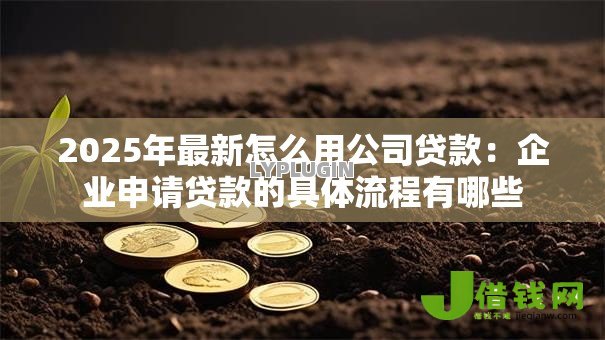2025年最新怎么用公司贷款：企业申请贷款的具体流程有哪些