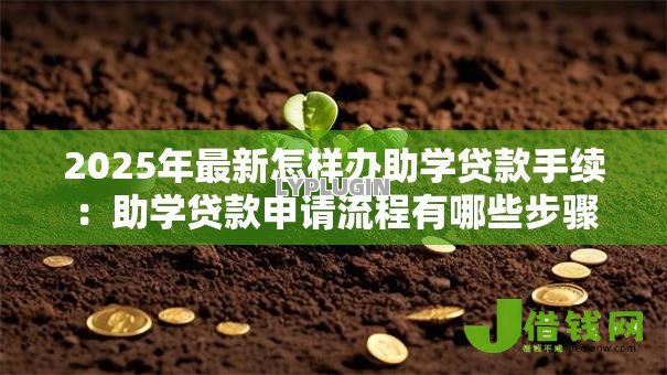 2025年最新怎样办助学贷款手续:助学贷款申请流程有哪些步骤 2025年最新怎样办助学贷款手续:助学贷款申请流程有哪些步骤