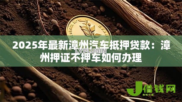 2025年最新漳州汽车抵押贷款：漳州押证不押车如何办理