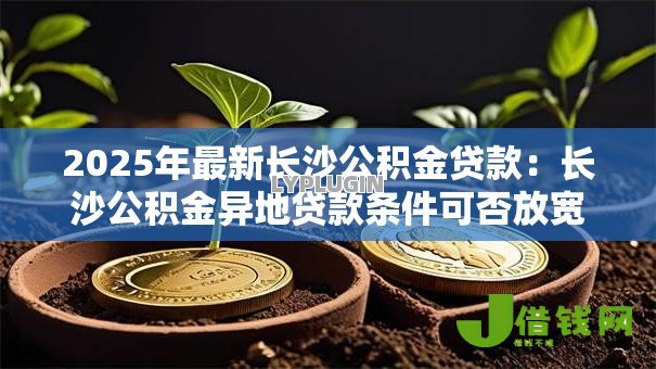 2025年最新长沙公积金贷款：长沙公积金异地贷款条件可否放宽