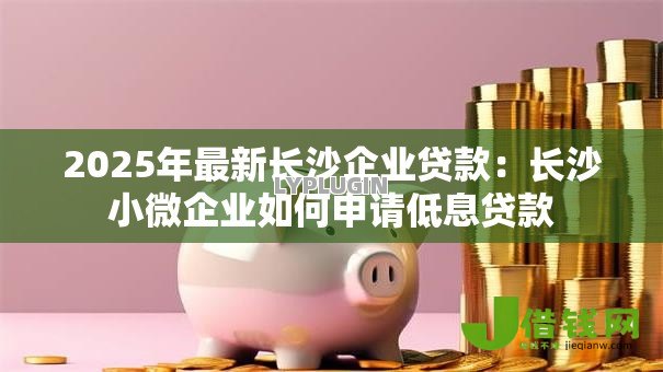 2025年最新长沙企业贷款：长沙小微企业如何申请低息贷款