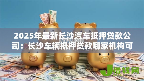 2025年最新长沙汽车抵押贷款公司:长沙车辆抵押贷款哪家机构可靠 2025年最新长沙汽车抵押贷款公司:长沙车辆抵押贷款哪家机构可靠