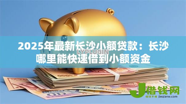 2025年最新长沙小额贷款:长沙哪里能快速借到小额资金 2025年最新长沙小额贷款:长沙哪里能快速借到小额资金