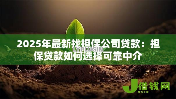 2025年最新找担保公司贷款：担保贷款如何选择可靠中介