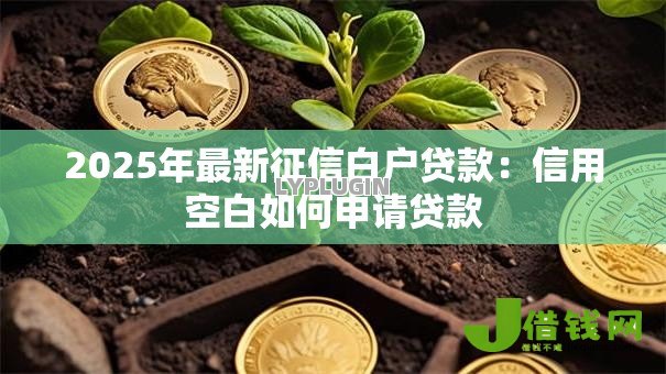 2025年最新征信白户贷款:信用空白如何申请贷款 2025年最新征信白户贷款:信用空白如何申请贷款