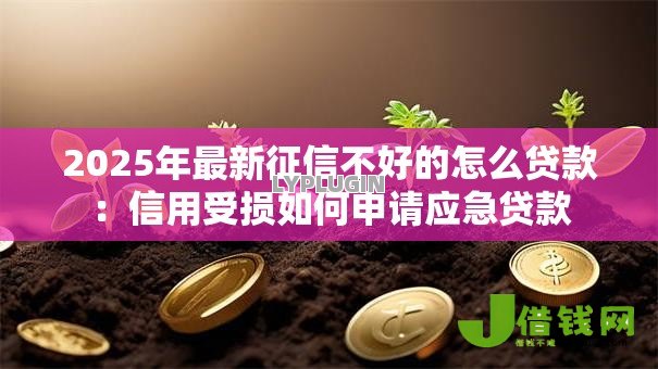 2025年最新征信不好的怎么贷款：信用受损如何申请应急贷款