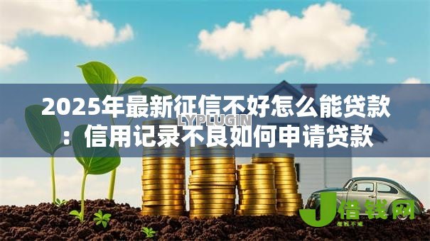 2025年最新征信不好怎么能贷款:信用记录不良如何申请贷款 2025年最新征信不好怎么能贷款:信用记录不良如何申请贷款