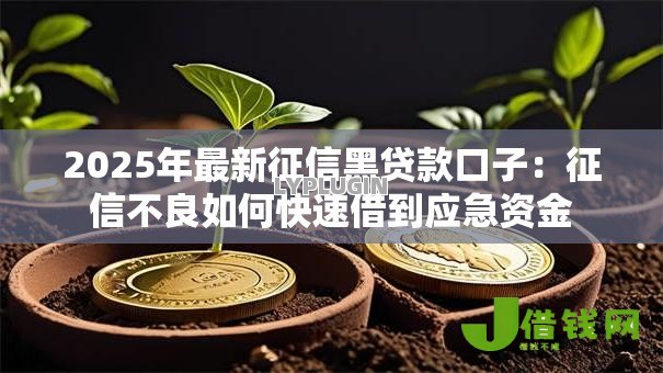 2025年最新征信黑贷款口子:征信不良如何快速借到应急资金 2025年最新征信黑贷款口子:征信不良如何快速借到应急资金