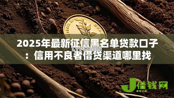 2025年最新征信黑名单贷款口子:信用不良者借贷渠道哪里找 2025年最新征信黑名单贷款口子:信用不良者借贷渠道哪里找