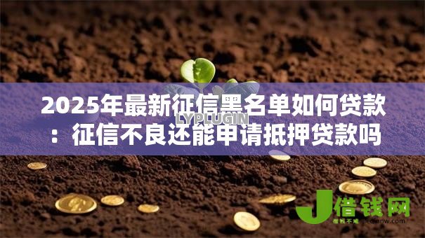 2025年最新征信黑名单如何贷款:征信不良还能申请抵押贷款吗 2025年最新征信黑名单如何贷款:征信不良还能申请抵押贷款吗