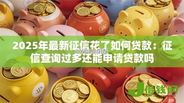 2025年最新征信花了如何贷款：征信查询过多还能申请贷款吗