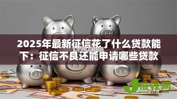 2025年最新征信花了什么贷款能下：征信不良还能申请哪些贷款