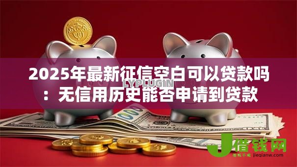 2025年最新征信空白可以贷款吗：无信用历史能否申请到贷款