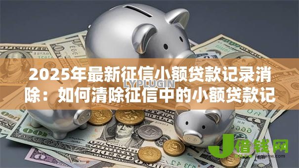 2025年最新征信小额贷款记录消除：如何清除征信中的小额贷款记录