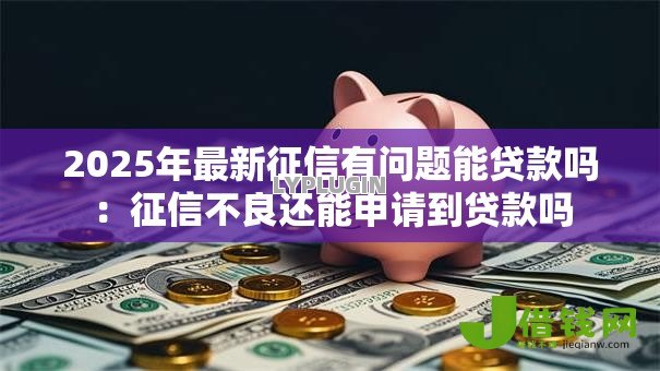 2025年最新征信有问题能贷款吗：征信不良还能申请到贷款吗
