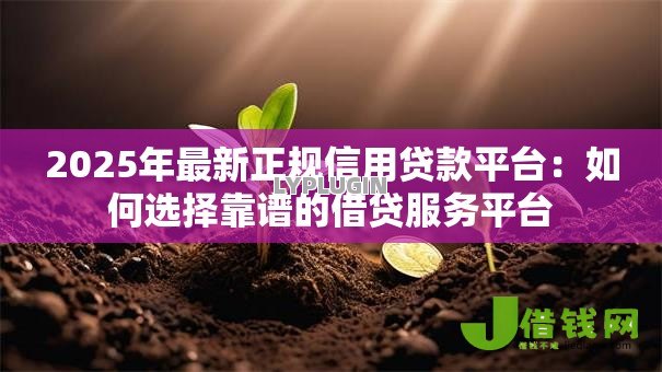 2025年最新正规信用贷款平台：如何选择靠谱的借贷服务平台
