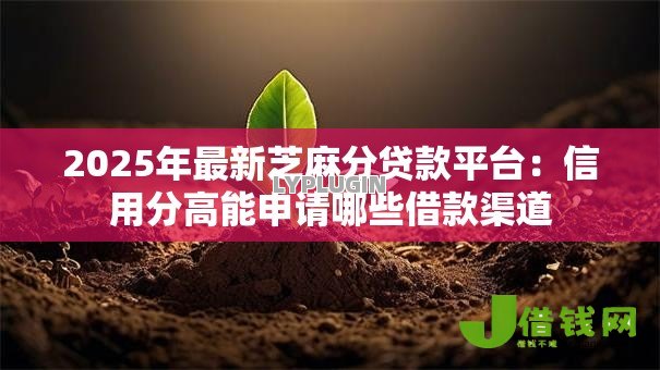 2025年最新芝麻分贷款平台：信用分高能申请哪些借款渠道