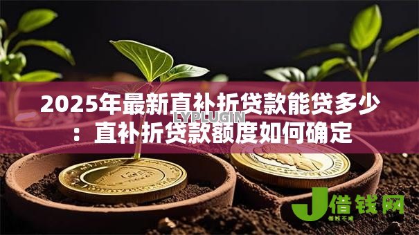 2025年最新直补折贷款能贷多少：直补折贷款额度如何确定