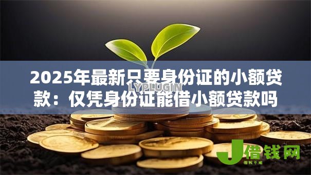 2025年最新只要身份证的小额贷款：仅凭身份证能借小额贷款吗