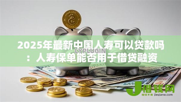 2025年最新中国人寿可以贷款吗：人寿保单能否用于借贷融资