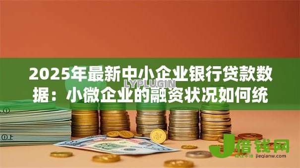 2025年最新中小企业银行贷款数据:小微企业的融资状况如何统计 2025年最新中小企业银行贷款数据:小微企业的融资状况如何统计