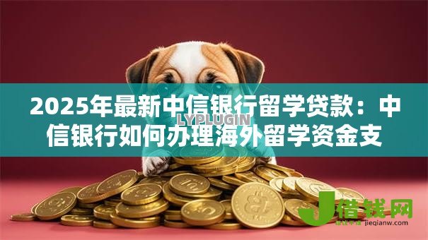2025年最新中信银行留学贷款：中信银行如何办理海外留学资金支持