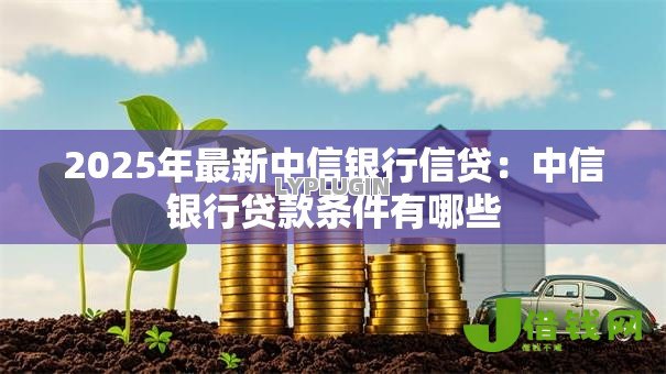 2025年最新中信银行信贷：中信银行贷款条件有哪些