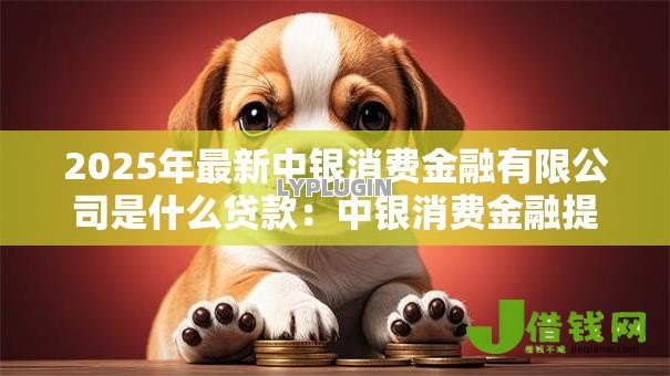 2025年最新中银消费金融有限公司是什么贷款：中银消费金融提供哪些贷款
