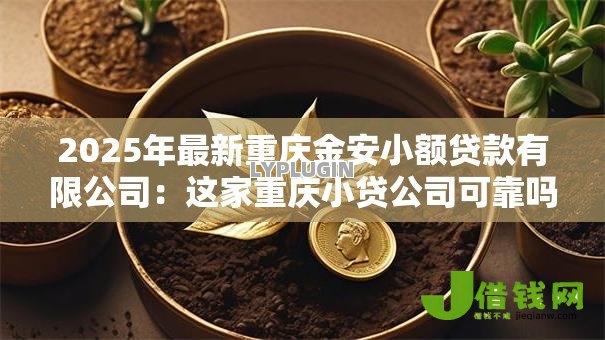2025年最新重庆金安小额贷款有限公司：这家重庆小贷公司可靠吗