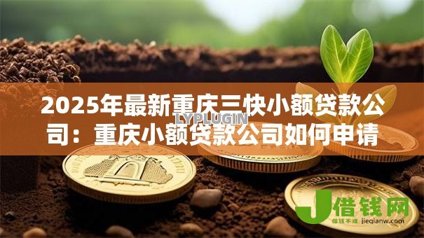 2025年最新重庆三快小额贷款公司：重庆小额贷款公司如何申请