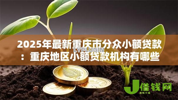 2025年最新重庆市分众小额贷款：重庆地区小额贷款机构有哪些