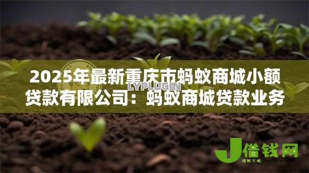 2025年最新重庆市蚂蚁商城小额贷款有限公司：蚂蚁商城贷款业务合规性如何