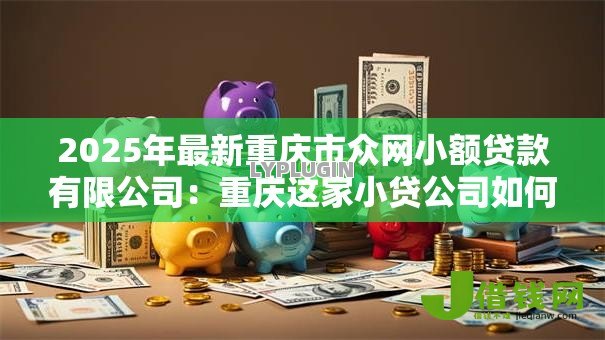 2025年最新重庆市众网小额贷款有限公司：重庆这家小贷公司如何申请贷款