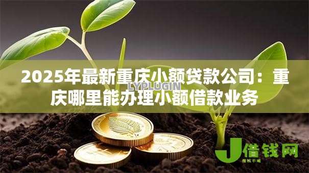 2025年最新重庆小额贷款公司：重庆哪里能办理小额借款业务