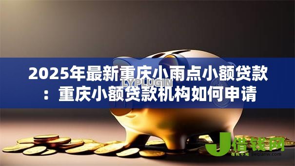 2025年最新重庆小雨点小额贷款：重庆小额贷款机构如何申请