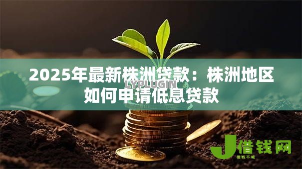 2025年最新株洲贷款：株洲地区如何申请低息贷款