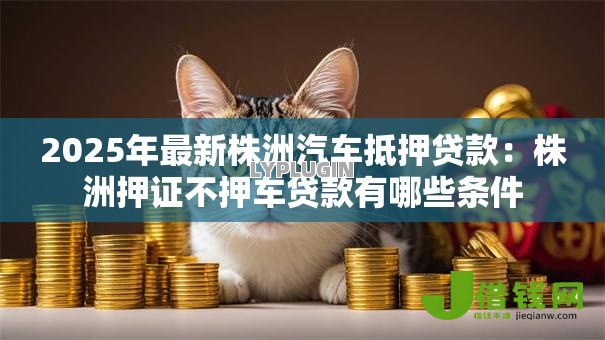 2025年最新株洲汽车抵押贷款：株洲押证不押车贷款有哪些条件
