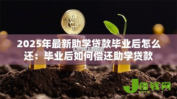 2025年最新助学贷款毕业后怎么还：毕业后如何偿还助学贷款