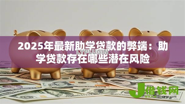 2025年最新助学贷款的弊端：助学贷款存在哪些潜在风险