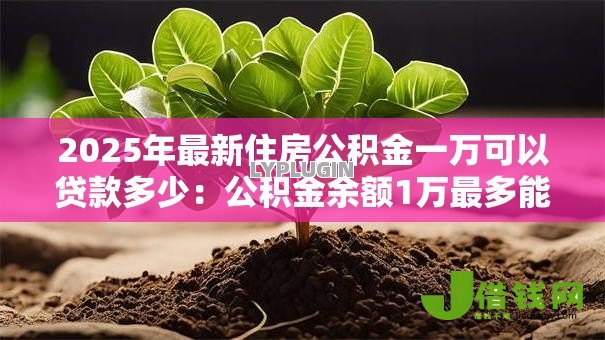 2025年最新住房公积金一万可以贷款多少：公积金余额1万最多能贷多少款