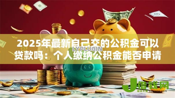 2025年最新自己交的公积金可以贷款吗:个人缴纳公积金能否申请住房贷款 2025年最新自己交的公积金可以贷款吗:个人缴纳公积金能否申请住房贷款