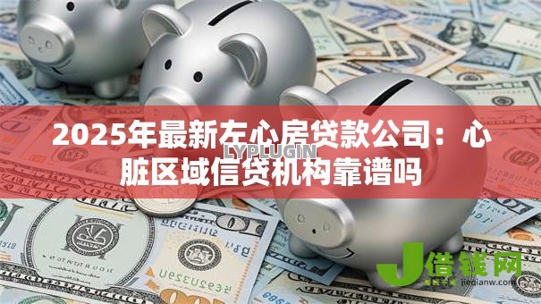 2025年最新左心房贷款公司：心脏区域信贷机构靠谱吗