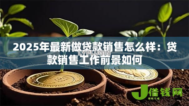 2025年最新做贷款销售怎么样：贷款销售工作前景如何