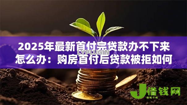 2025年最新首付完贷款办不下来怎么办：购房首付后贷款被拒如何解决