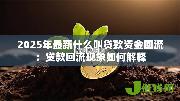 2025年最新什么叫贷款资金回流:贷款回流现象如何解释 2025年最新什么叫贷款资金回流:贷款回流现象如何解释
