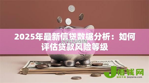 2025年最新信贷数据分析：如何评估贷款风险等级